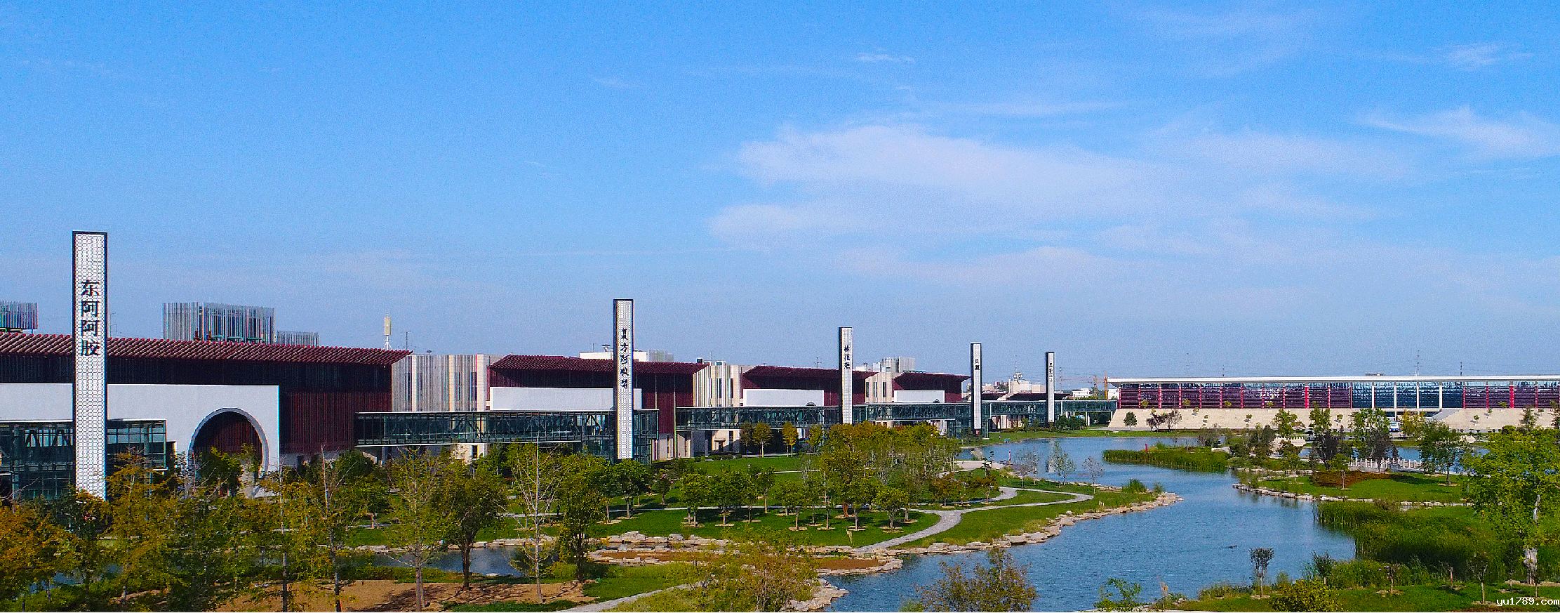 世界杯直播观看平台免费官网-阿胶世界