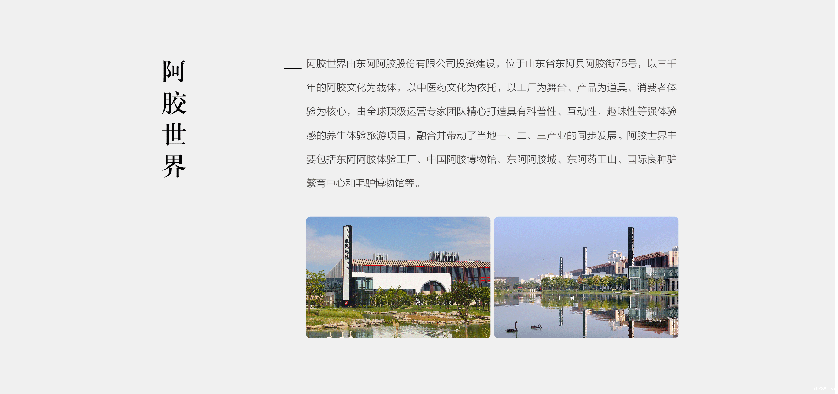 世界杯直播观看平台免费官网-阿胶世界