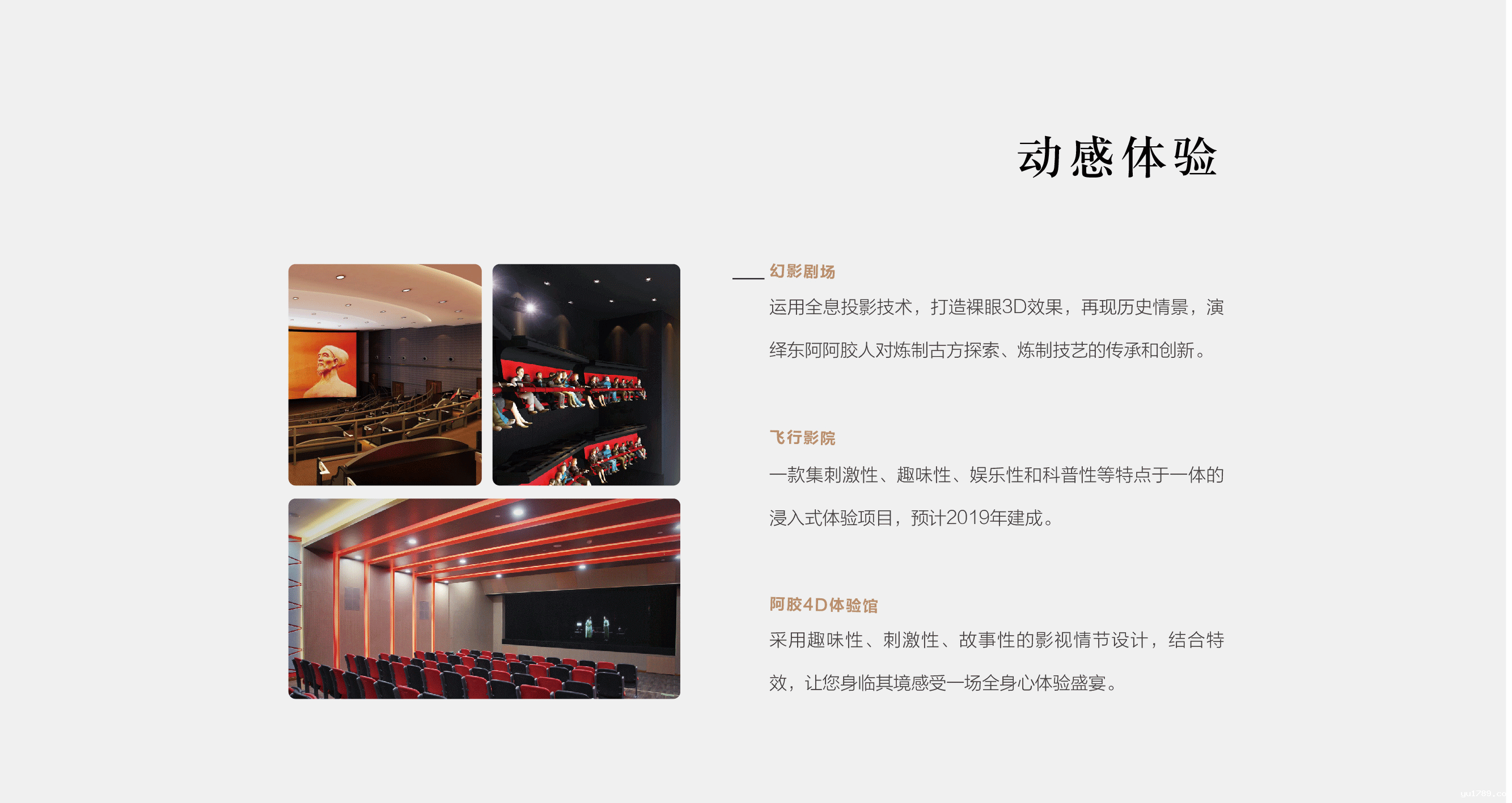 世界杯直播观看平台免费官网-阿胶世界